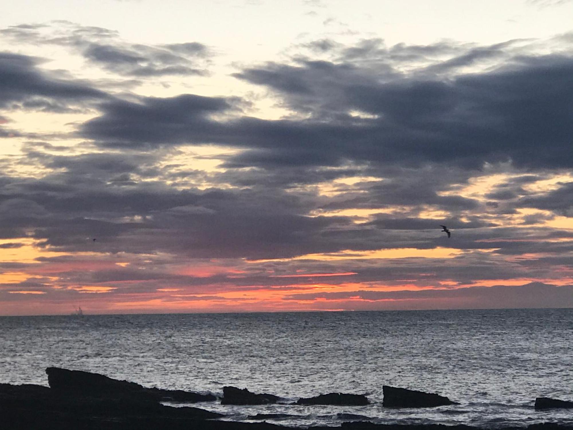 Belstane House Bed & Breakfast Cellardyke ภายนอก รูปภาพ