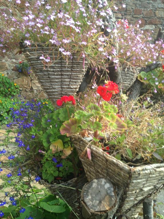 Belstane House Bed & Breakfast Cellardyke ภายนอก รูปภาพ