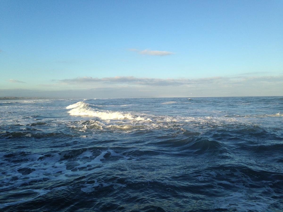 Belstane House Bed & Breakfast Cellardyke ภายนอก รูปภาพ
